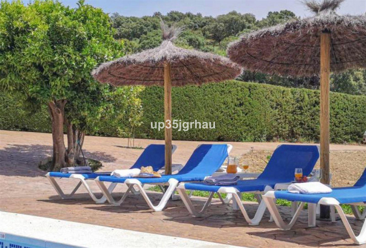 52bb71a33165b4c5cb4dd0d91e06a9d8 - 17