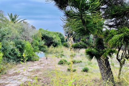 5452a94daf34f64139b9d3d1c7ea5415 - 1