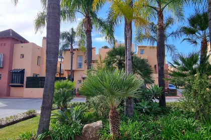 55808d504766e02e9356b8930693882d - 24