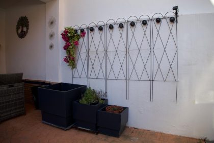 5582941b429d5dc4af0b6a5be7fb8481 - 31