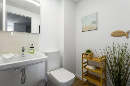 55a08a87c617233b3d94ca03858a70cb - 13