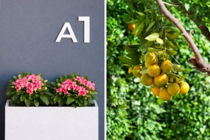 55a08a87c617233b3d94ca03858a70cb - 4