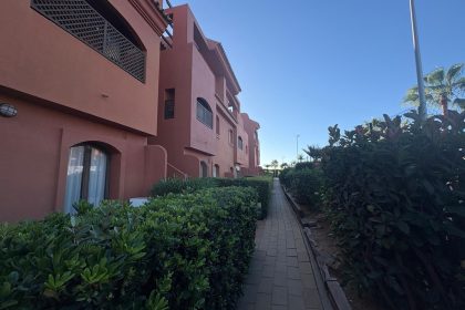 55d56de8adeaae971267d1378324714a - 31