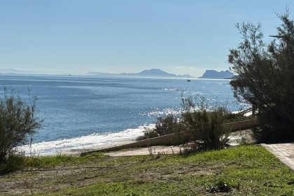 55d56de8adeaae971267d1378324714a - 42