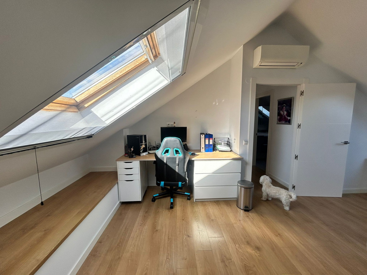 56a211fa387052afa8ba830d66b85f9a - 1