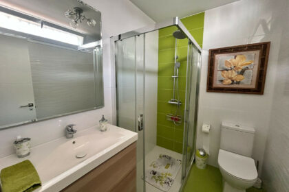 56a211fa387052afa8ba830d66b85f9a - 29