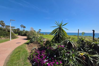 58a3c53ce9a595d812783052e203b100 - 24