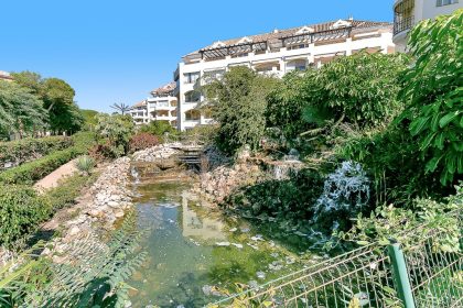 58bd112e86b2c7f19c74a21e0147feba - 29