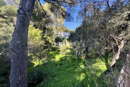 59c0be0600234a3985f94a407ab23fc9 - 50