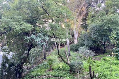 59c0be0600234a3985f94a407ab23fc9 - 55