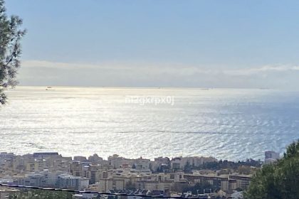 59c0be0600234a3985f94a407ab23fc9 - 57