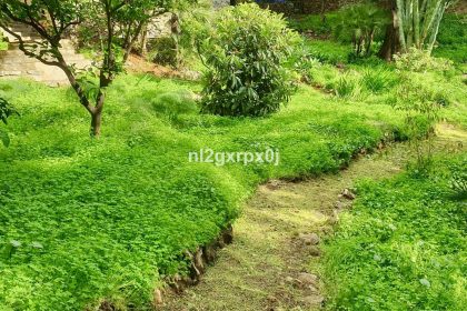 59c0be0600234a3985f94a407ab23fc9 - 59