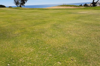 5a0bf39967897bfb925726b618d7173c - 21