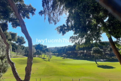 5ab54c98e427da02baef4e6fb4951f7c - 54