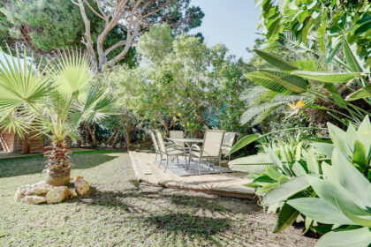 5bd145177fe4f5f6304a99a46566dd1d - 30