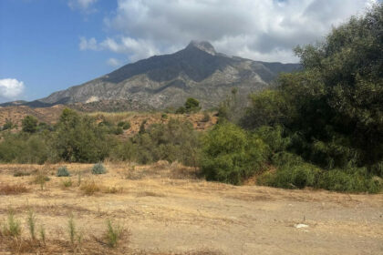 5cb4f068cc55377373b1e63958873fec - 1