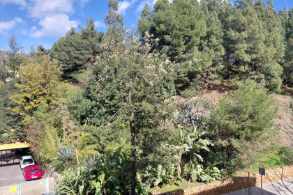 5dbc2d6eb2b9106fac0abaa02e7f0982 - 20