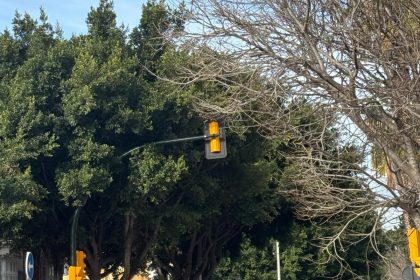 5dd1bf7b25bd49e62c7cd278d17c7d0c - 29