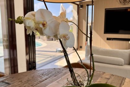 5ec702c7c46fa80f94954cd7d290abe6 - 18