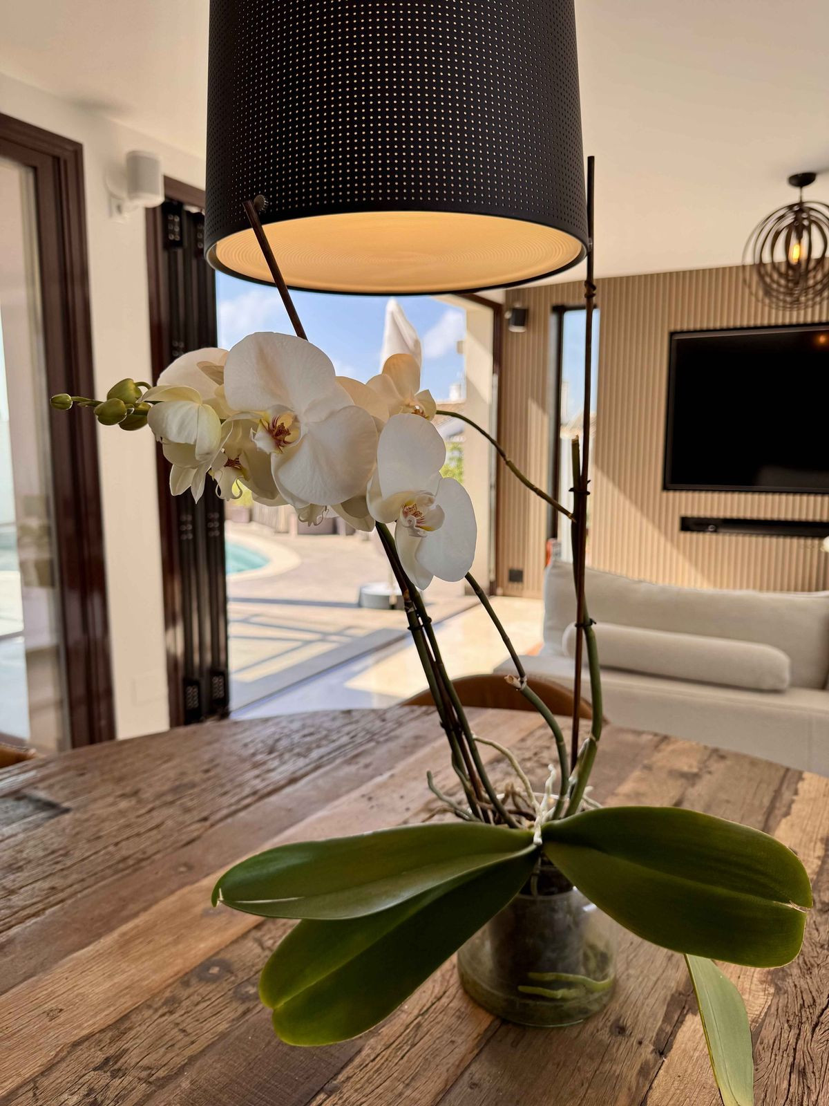 5ec702c7c46fa80f94954cd7d290abe6 - 18