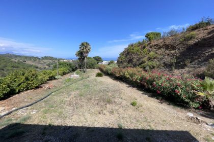 5fdcafc2d49dc3e7a28715db43d25e7f - 28