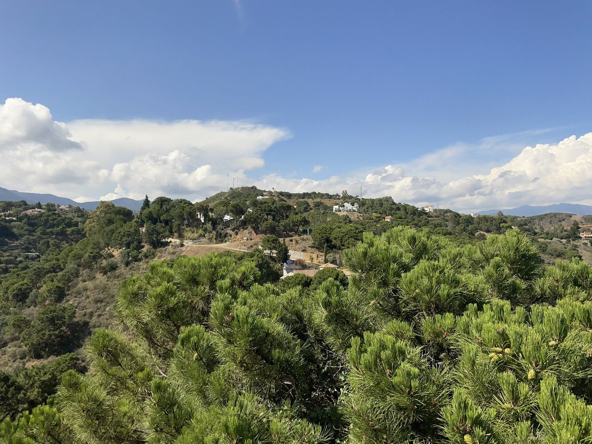 5fdcafc2d49dc3e7a28715db43d25e7f - 35