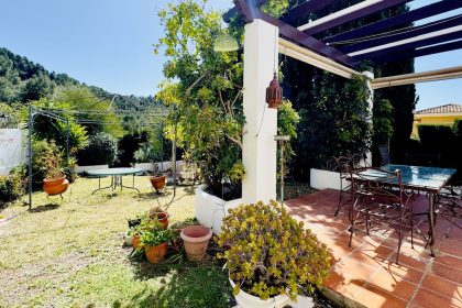 6124ffc58439e21b2d2d28af3eed06fc - 41