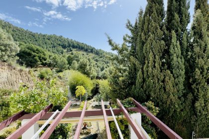 6124ffc58439e21b2d2d28af3eed06fc - 5