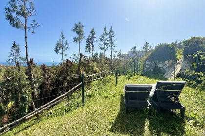 62545d0aee09fd6b1c1931c72504dc2a - 16