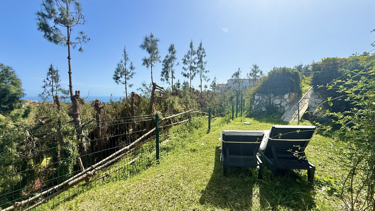 62545d0aee09fd6b1c1931c72504dc2a - 16