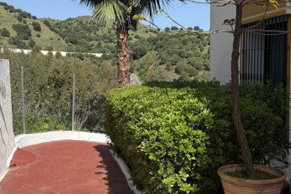 62545d0aee09fd6b1c1931c72504dc2a - 17