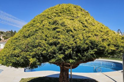 643c68f2be2646c4185dfbb077d700e5 - 40