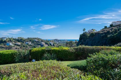 6456c7c36ea56498a990550756031f53 - 21