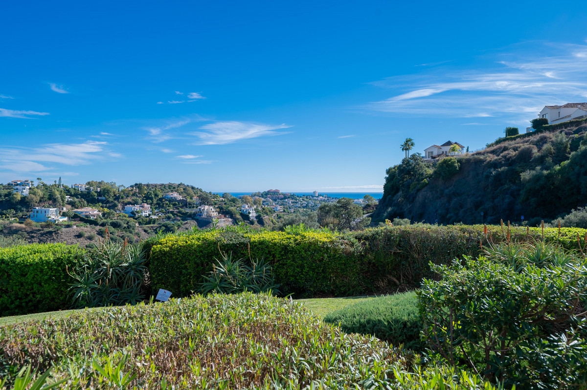 6456c7c36ea56498a990550756031f53 - 21