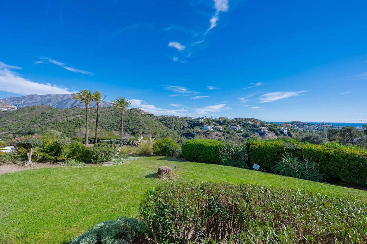 6456c7c36ea56498a990550756031f53 - 23