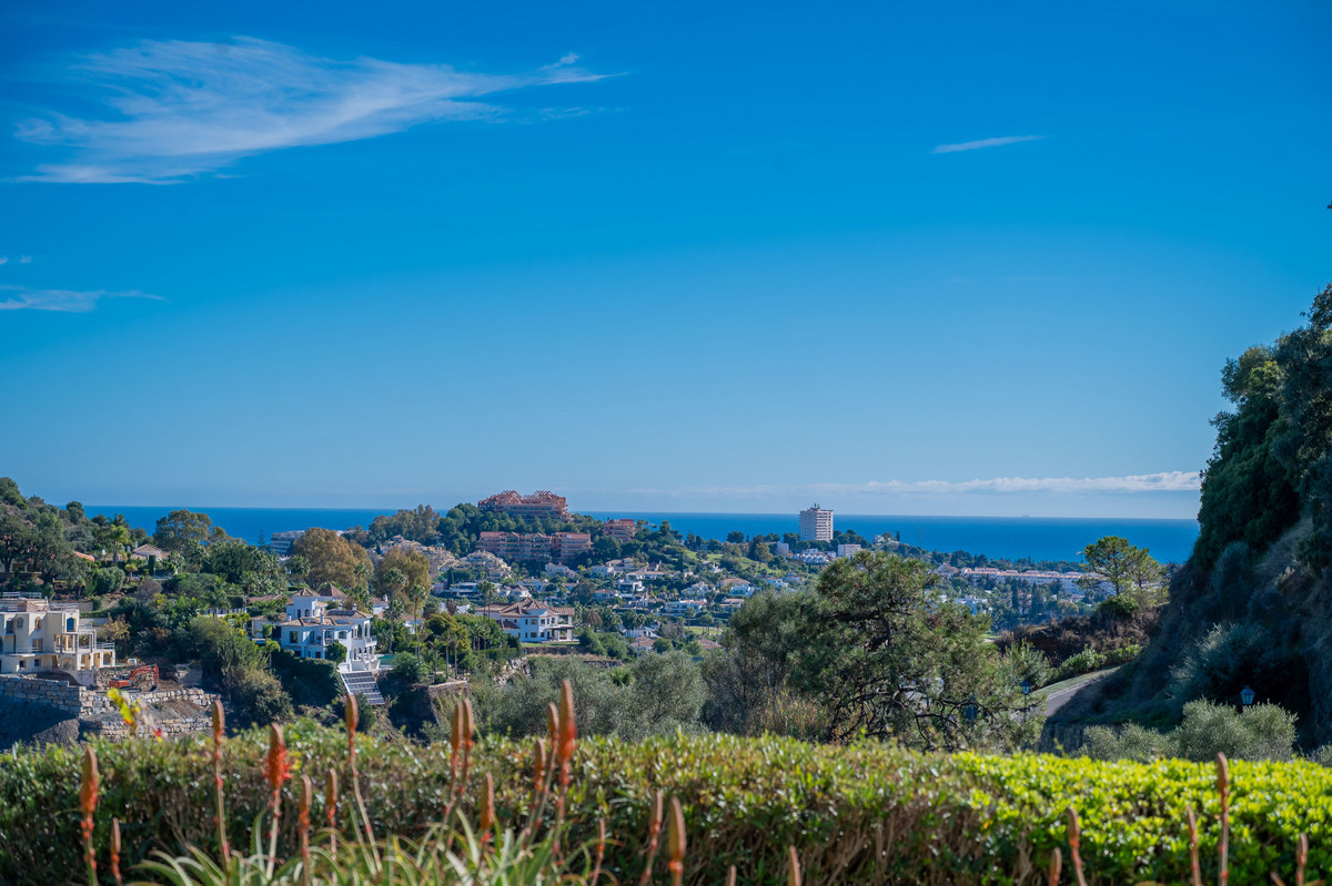 6456c7c36ea56498a990550756031f53 - 24