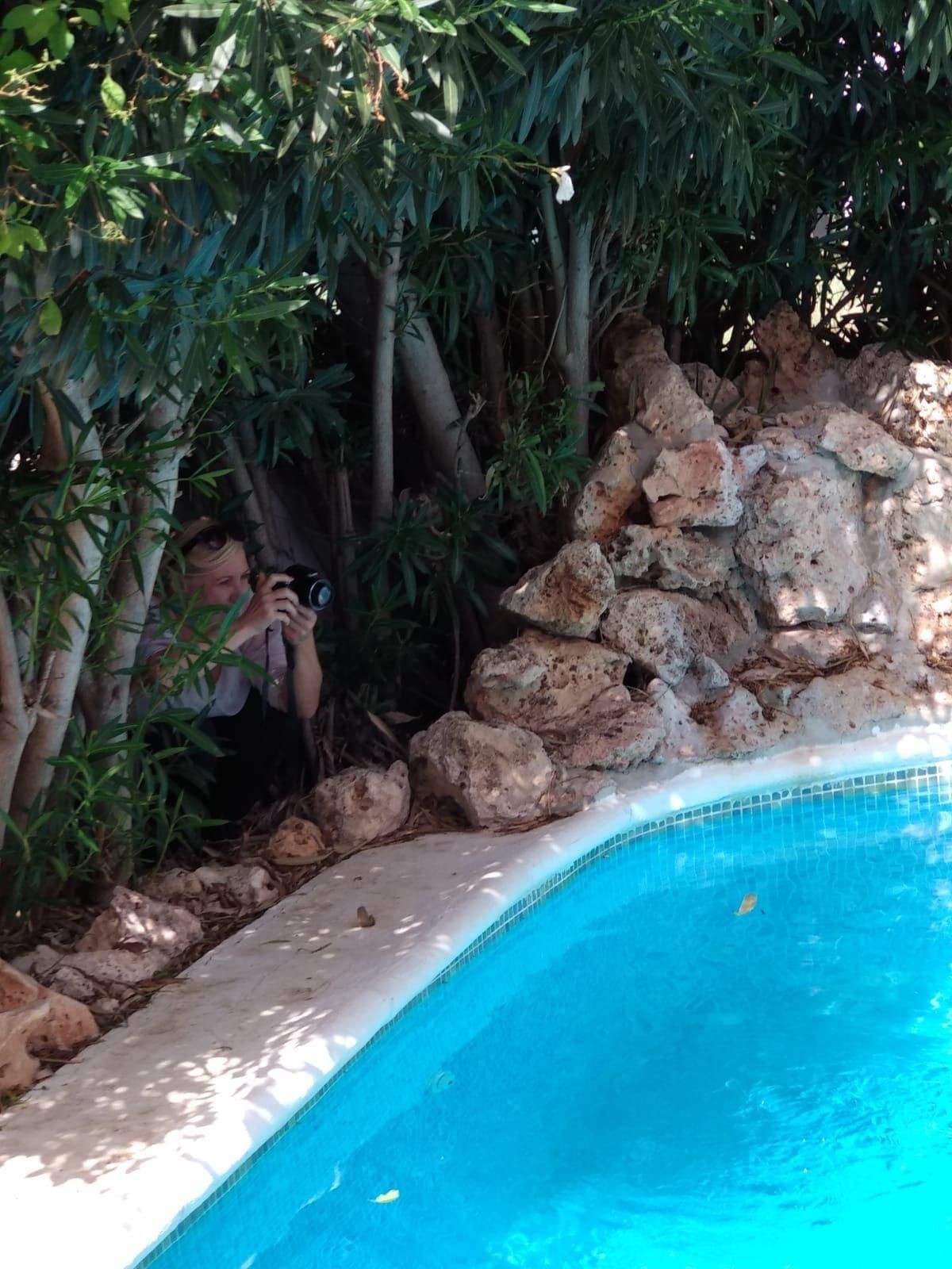 657c90d87dea959bc10fb5549418cb99 - 30