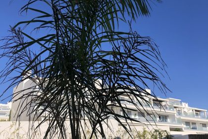 66538b8a9c439cb5c2ce04ff2f31dc06 - 22