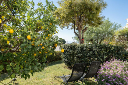 691fa621ae779758b74794613c5179d7 - 25