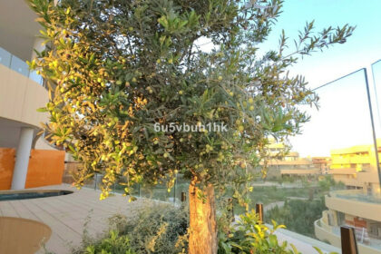 6957d5ad065bd5fdfeccf1da4b0a4722 - 23