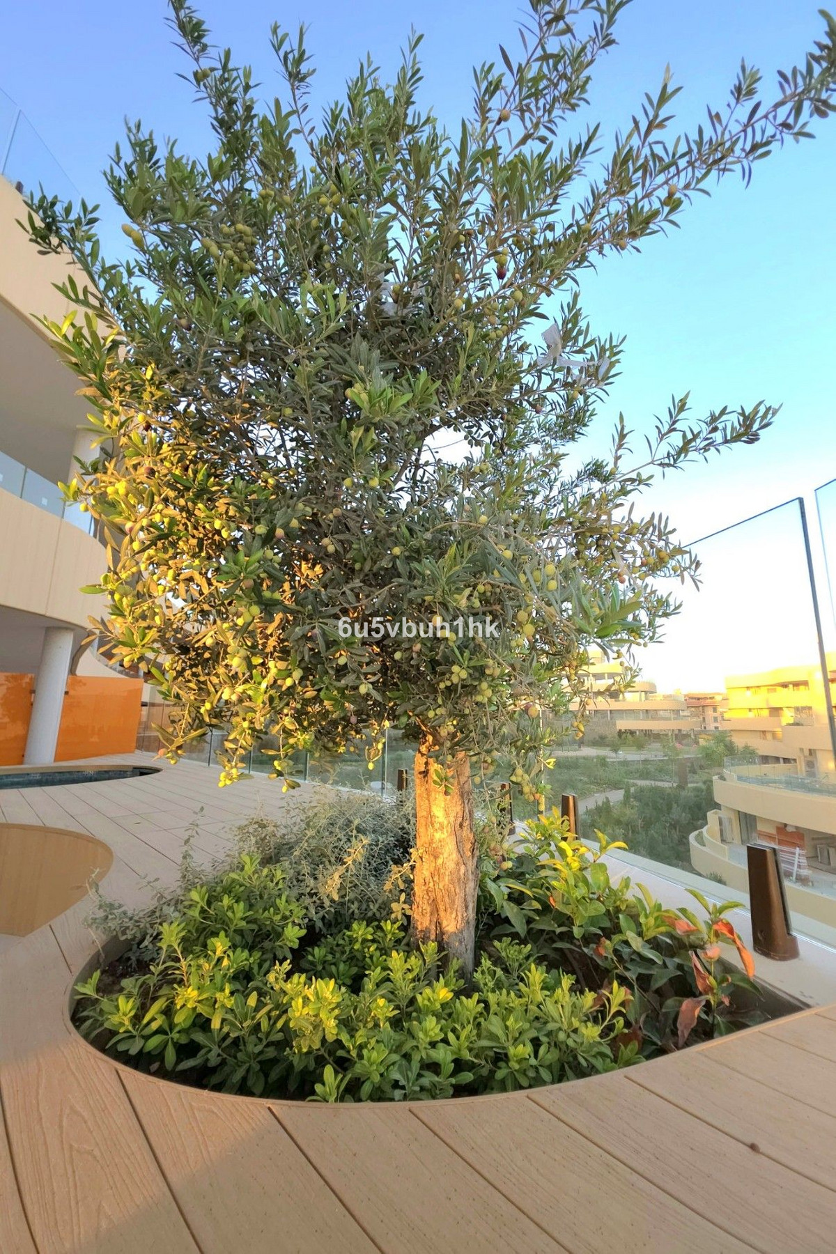 6957d5ad065bd5fdfeccf1da4b0a4722 - 23