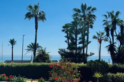 6959c1ec08de8fcc9703c5a43275a284 - 29