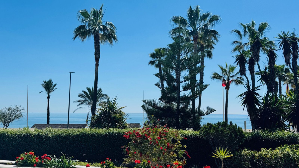 6959c1ec08de8fcc9703c5a43275a284 - 29