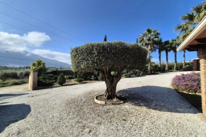 69794b9558b9577da601c2d686902397 - 29