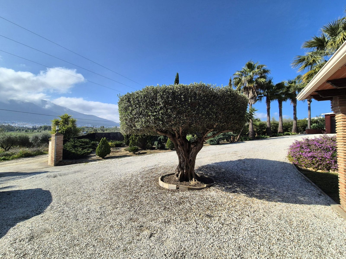 69794b9558b9577da601c2d686902397 - 29