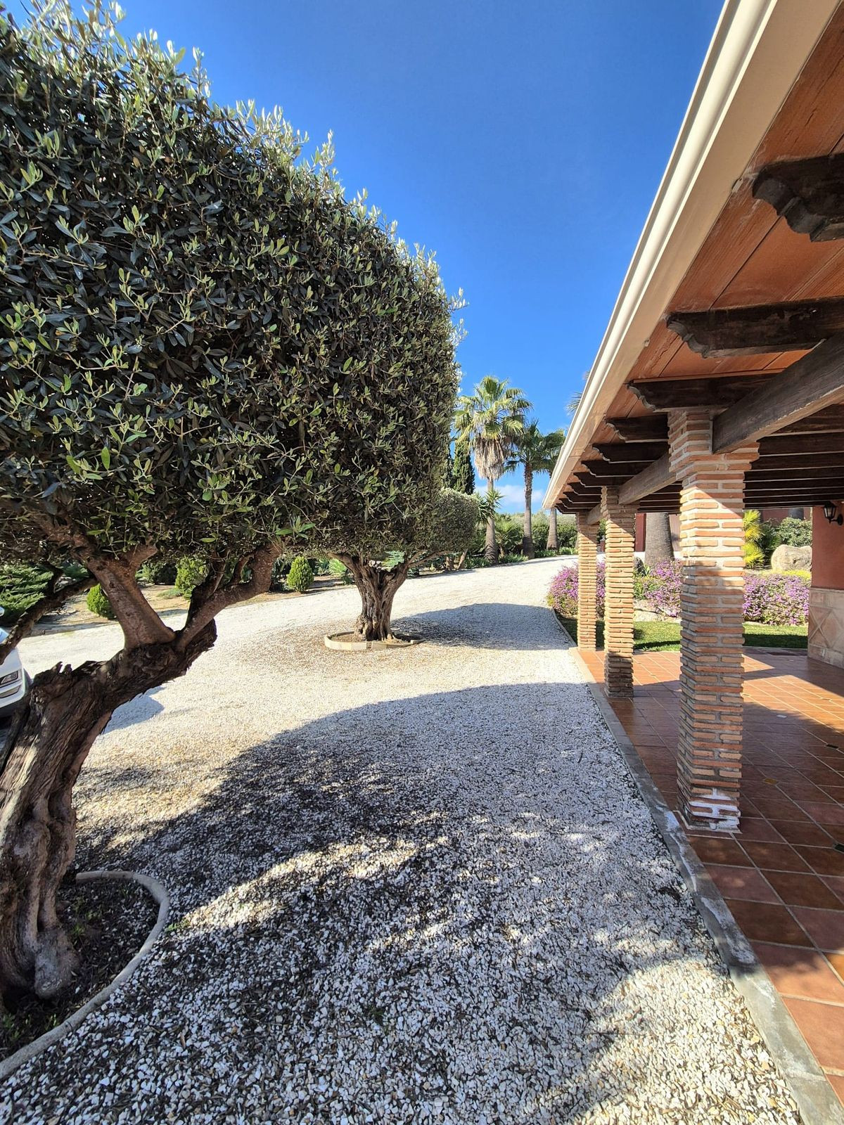 69794b9558b9577da601c2d686902397 - 33