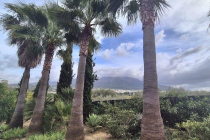 69794b9558b9577da601c2d686902397 - 51