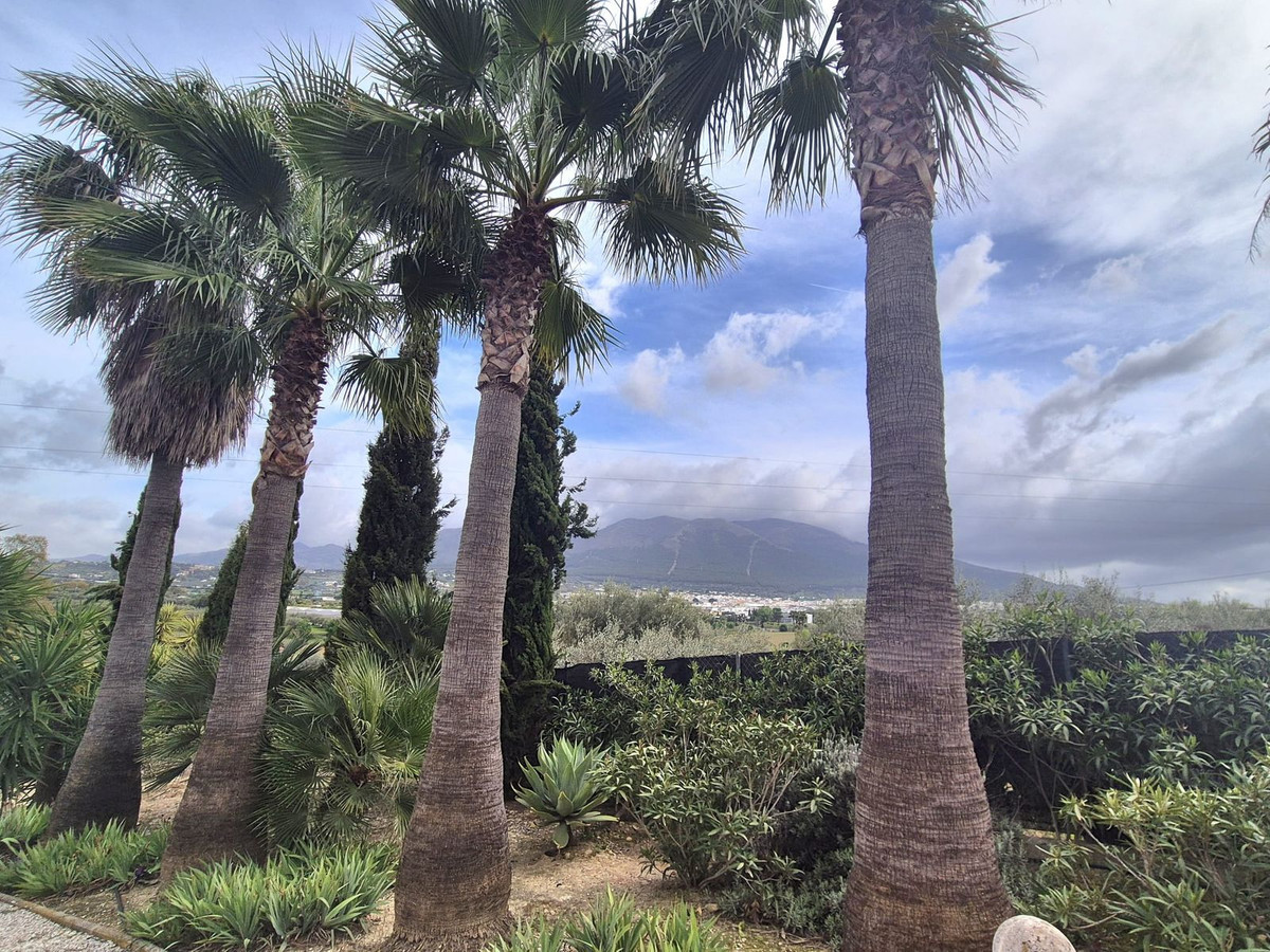 69794b9558b9577da601c2d686902397 - 51