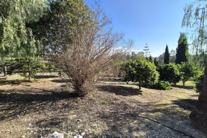 69794b9558b9577da601c2d686902397 - 52