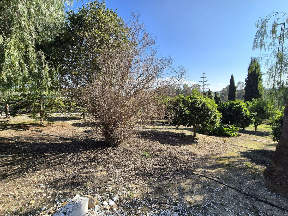 69794b9558b9577da601c2d686902397 - 52